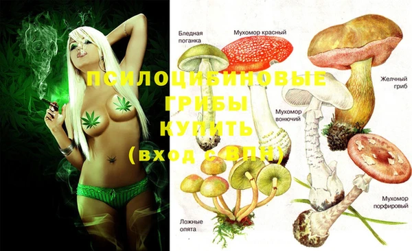 хмурый Абинск
